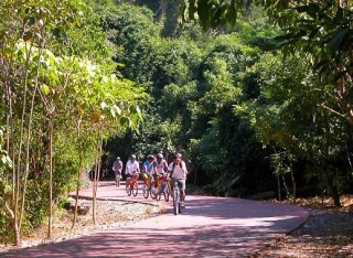 Rutas eb Bici por zonas boscosas